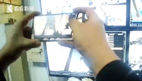 人体固定 在线视频,探索人体极限与生命奥秘